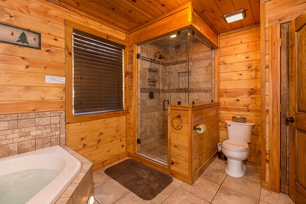 Custom glassed shower at Rocky Top Lodge, a 3 bedroom cabin rental located in Pigeon Forgeq