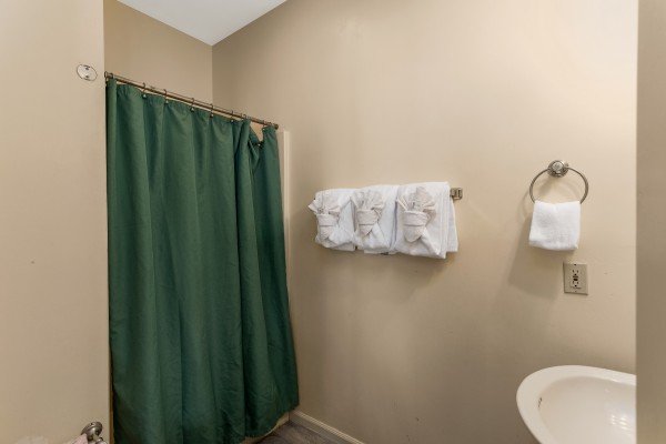 Bathroom with a shower at Chalet Mignon, an 8-bedroom cabin rental located in Gatlinburg