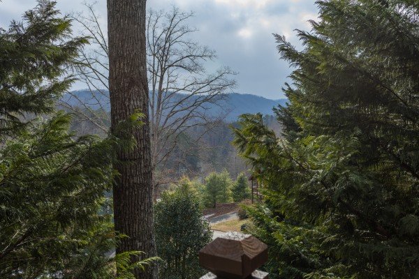 View through the trees at 5 Star Celebration, a 1 bedroom cabin rental located in Pigeon Forge