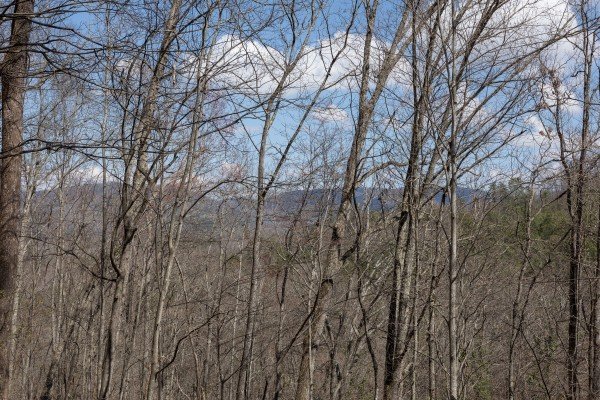 Wooded mountain views at Hideaway, a 1 bedroom cabin rental located in Pigeon Forge