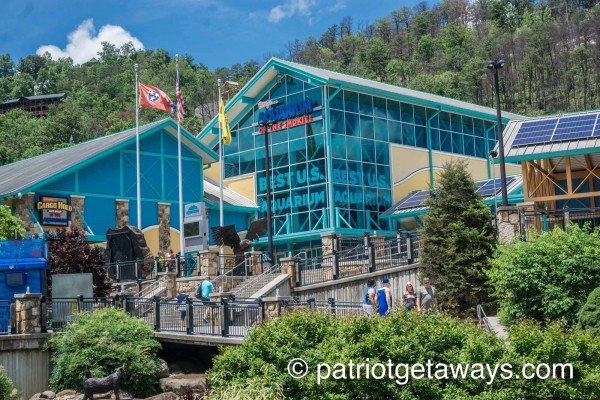 Ripley's Aquarium of the Smokies is near License to Chill, a 3 bedroom cabin rental located in Gatlinburg