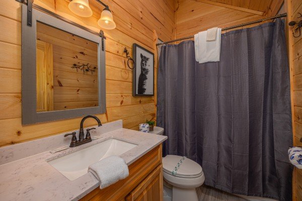 Bathroom with shower at Mountain Pool & Paradise, a 3 bedroom cabin rental located in Pigeon Forge