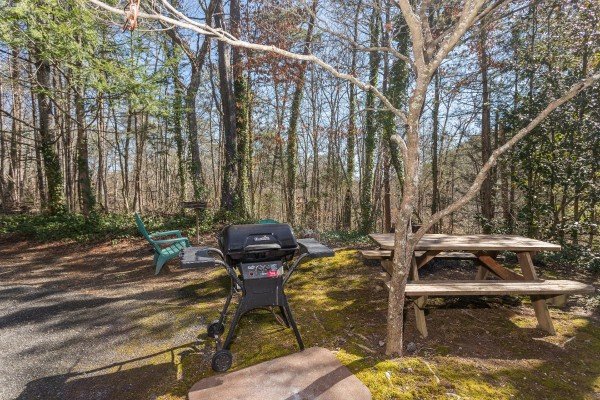 Picnic table with propane grill at Snuggle Inn, a 2 bedroom cabin rental located in Pigeon Forge