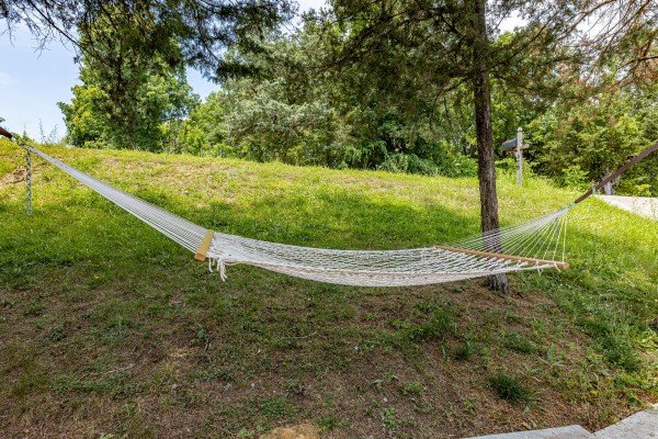 Front yard hammock at Smokies Serenity, a 2 bedroom cabin rental located in Douglas Lake