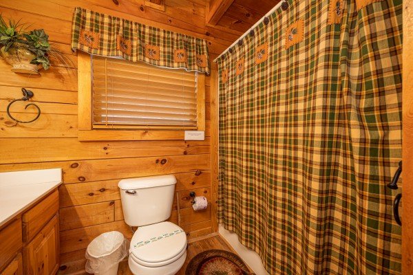 at 5 star celebration a 1 bedroom cabin rental located in pigeon forge