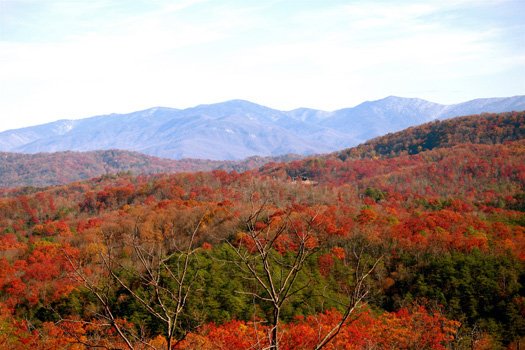 Fall colors captured at Horse'n Around, a 3 bedroom cabin rental located in Pigeon Forge