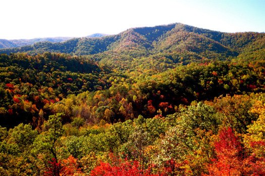 View of the smoky mountains in the fall season at Horse'n Around, a 3 bedroom cabin rental located in Pigeon Forge