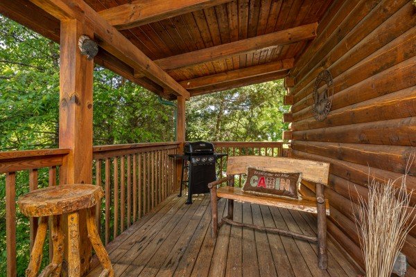 at eagle's bluff a 2 bedroom cabin rental located in douglas lake