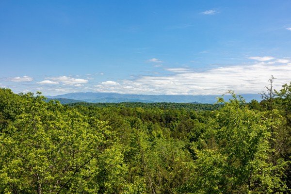 Eagle's Bluff - A Douglas Lake Cabin Rental