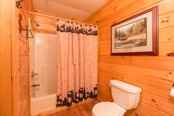 Animal Kingdom A Gatlinburg Cabin Rental