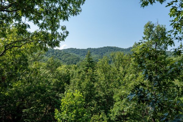 Wooded mountain view at Majestic Mountain, a 4 bedroom cabin rental located in Pigeon Forge