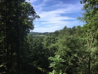 Summer view at Moonshiner's Ridge, a 1-bedroom cabin rental located in Pigeon Forge