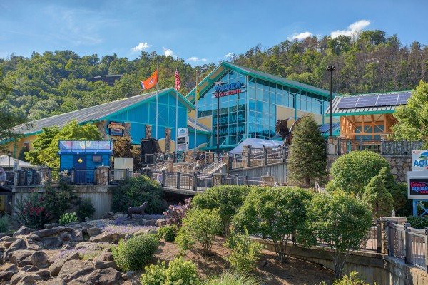 Ripley's Aquarium of the Smokies is near Le Bear Chalet, a 7 bedroom cabin rental located in Gatlinburg