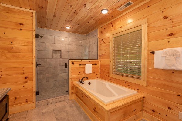 Jacuzzi tub and separate glassed shower at Elk Horn Lodge, a 5 bedroom cabin rental located in Gatlinburg