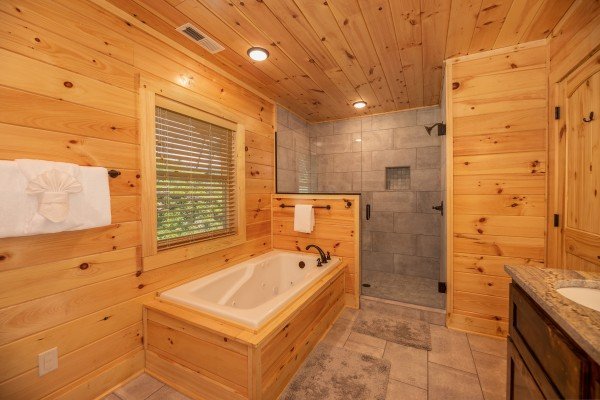 Jacuzzi and separate glassed in shower at Elk Horn Lodge, a 5 bedroom cabin rental located in Gatlinburg