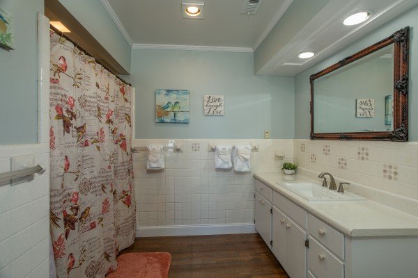 Bathroom with a tub and shower at Best View Ever! A 5 bedroom cabin rental in Pigeon Forge