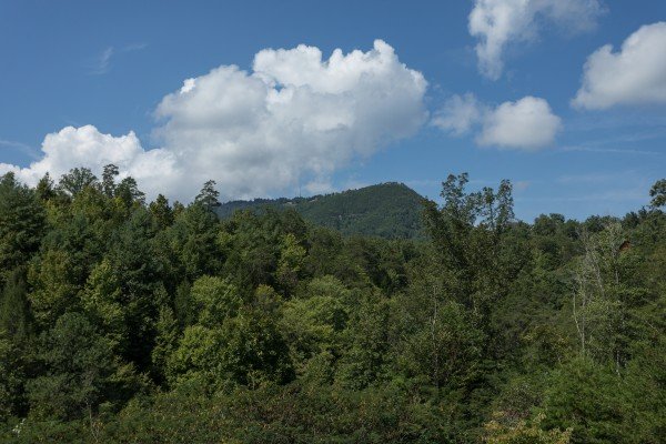Mountain view with trees below at Cabin Fever, a 4-bedroom cabin rental located in Pigeon Forge