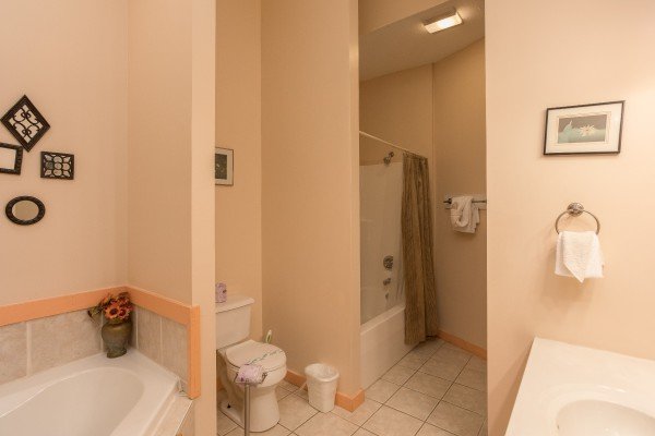 Bathroom with a jacuzzi and separate tub and shower at Precious View, a 1 bedroom cabin rental located in Gatlinburg