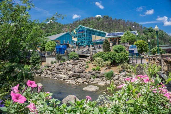 Ripley's Aquarium of the Smokies is near Swept Away in the Smokies, a 1 bedroom cabin rental located in Pigeon Forge