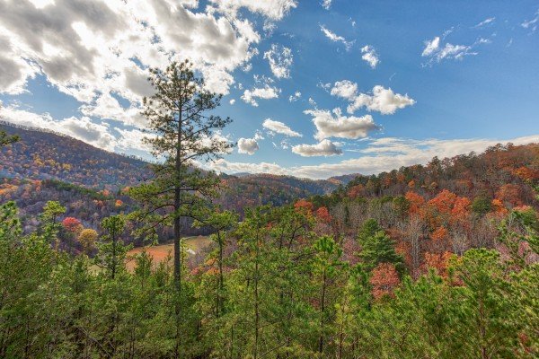 Fall color view at R & R Hideaway, a 1 bedroom cabin rental located in Pigeon Forge