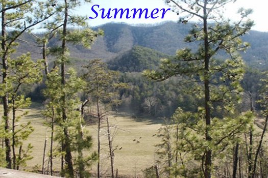 Smoky Mountains summertime view at R & R Hideaway, a 1 bedroom cabin rental located in Pigeon Forge
