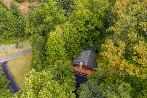 Sweet Caroline - A Pigeon Forge Cabin Rental 