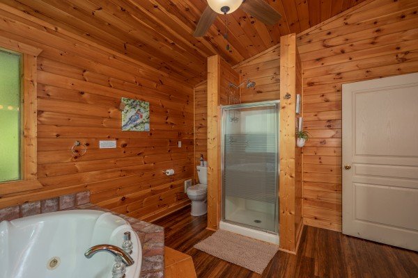 Bathroom with a jacuzzi tub and separate shower at Hawk’s Heart Lodge, a 3 bedroom cabin rental located in Pigeon Forge