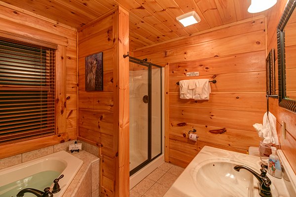 Bathroom with a jacuzzi and separate shower at Bearfoot Paradise, a 3-bedroom cabin rental located in Pigeon Forge