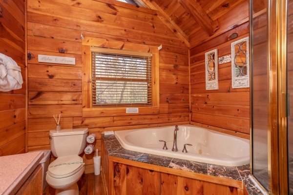 Shower and separate jacuzzi at The Original American Dream, a 2 bedroom cabin rental located in Gatlinburg