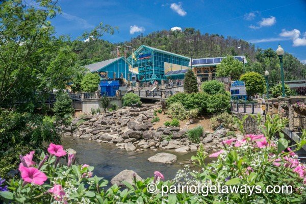 Ripley's Aquarium of the Smokies is Panorama, a 2 bedroom cabin rental located in Pigeon Forge