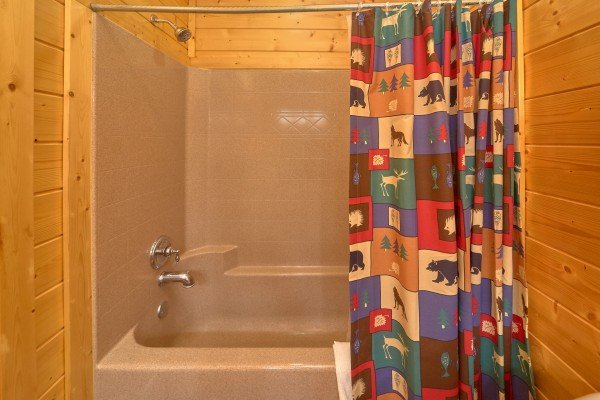 Main floor shower at Million Dollar View, a 2 bedroom cabin rental located in Pigeon Forge