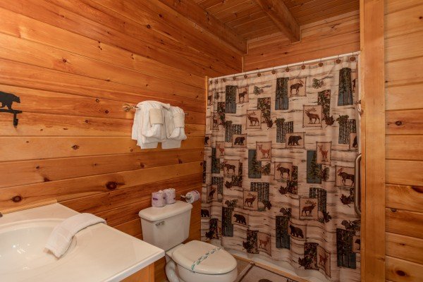 Bathroom with a tub and shower at Momma Bear, a 2 bedroom cabin rental located in Pigeon Forge