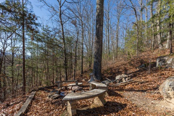 Yard picnic area at Alone at the Top, a 3 bedroom cabin rental located in Pigeon Forge