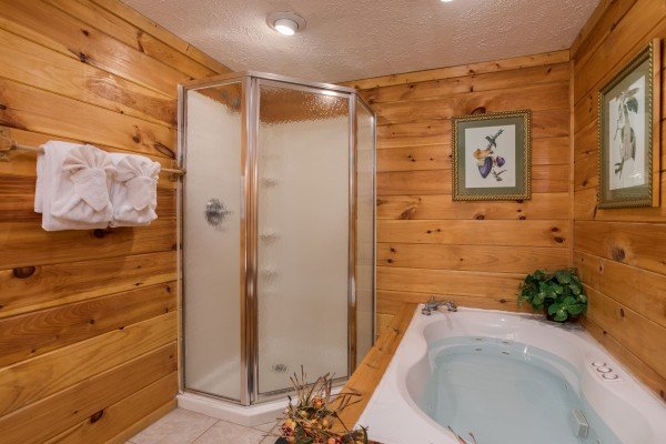 Jacuzzi and shower stall at Bird's Eye View, a 2-bedroom cabin rental located in Gatlinburg