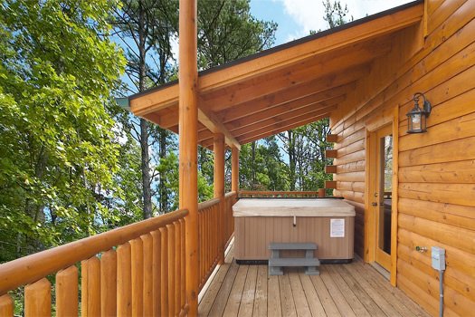 Log Wild A Pigeon Forge Cabin Rental