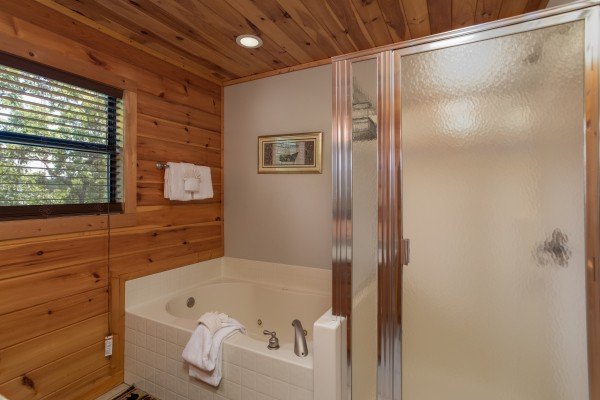 Bathroom with a jacuzzi and shower at Endless View, a 4 bedroom cabin rental located in Pigeon Forge