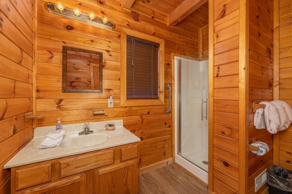 Bathroom with walk in shower at Lakeview Point, a 2 bedroom cabin rental located in Douglas Lake
