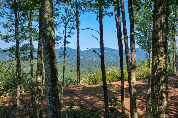 Mountain views through the woods at Bearfoot Adventure, a 2-bedroom cabin rental located in Gatlinburg