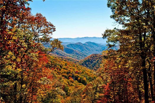Mountain views framed by trees bursting with fall color at Grand Timber Lodge, a 5-bedroom cabin rental located in Pigeon Forge