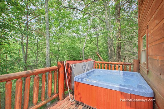 Moose On The Loose A Gatlinburg Cabin Rental