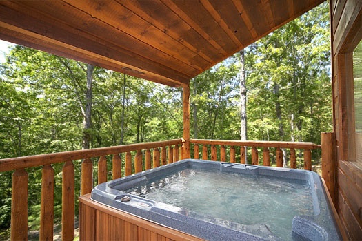 Honey Bear Haven A Pigeon Forge Cabin Rental