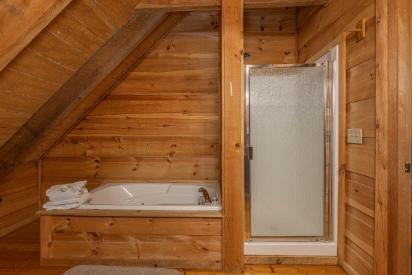 Jacuzzi and shower stall in a bathroom at Auburn Sky, a 4 bedroom cabin rental located in Pigeon Forge